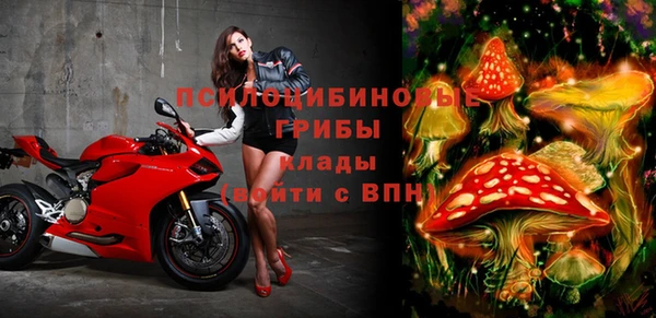 mdpv Балахна