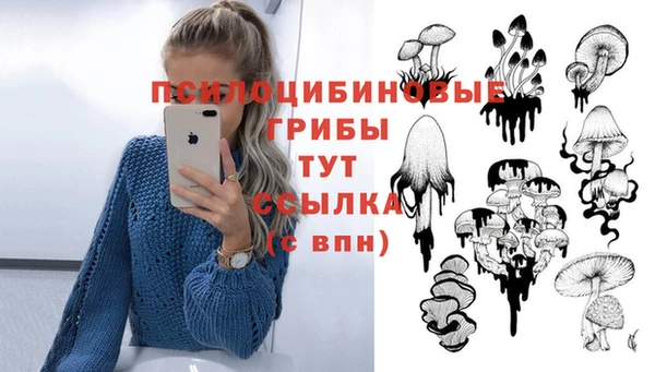 mdpv Балахна