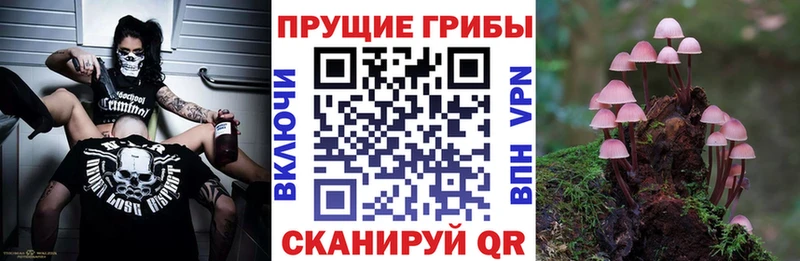 MEGA ONION  Невельск  Галлюциногенные грибы Magic Shrooms 
